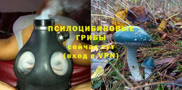 бошки Алзамай