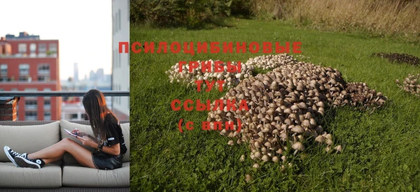 PSILOCYBIN Алексин