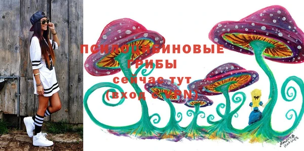 круглые Алексеевка