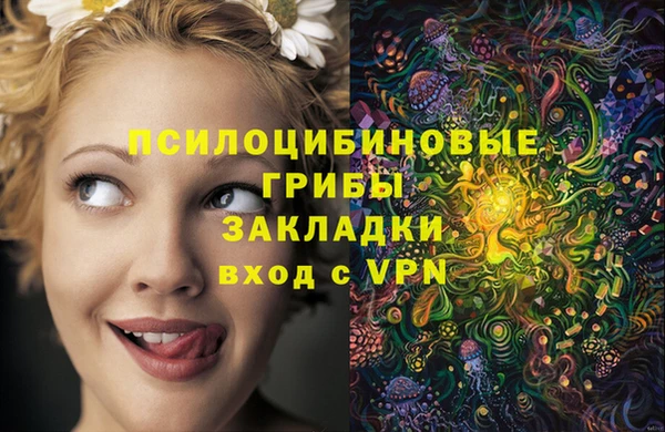 круглые Алексеевка