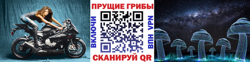 Галлюциногенные грибы Psilocybe  Покров 